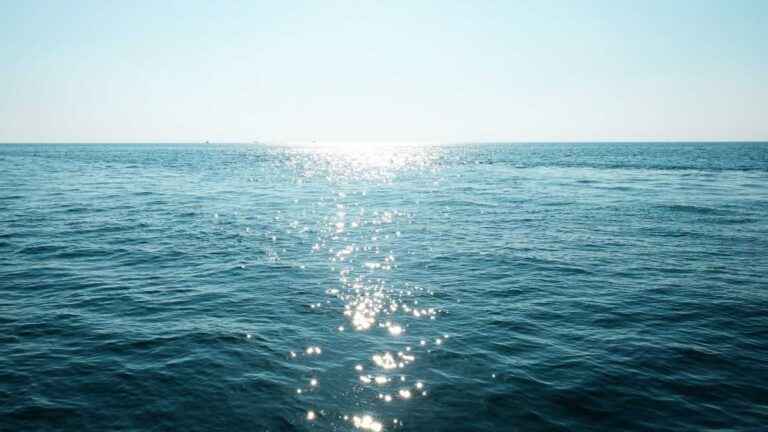 Especie de tremor no oceano: O que é e como é detectado?