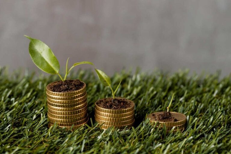 Investimentos sustentáveis: como unir lucro e propósito